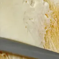 朝食が変わるパン