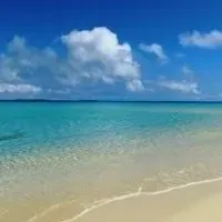 観光促進支援