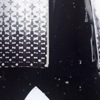 「LV SKI」2024年