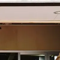 ダイレオの導入成功事例