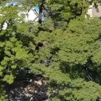リトリート女子旅プラン