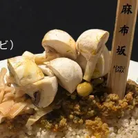 麻布坂カレー新登場