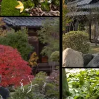 ツリーハウスボンサイ再オープン